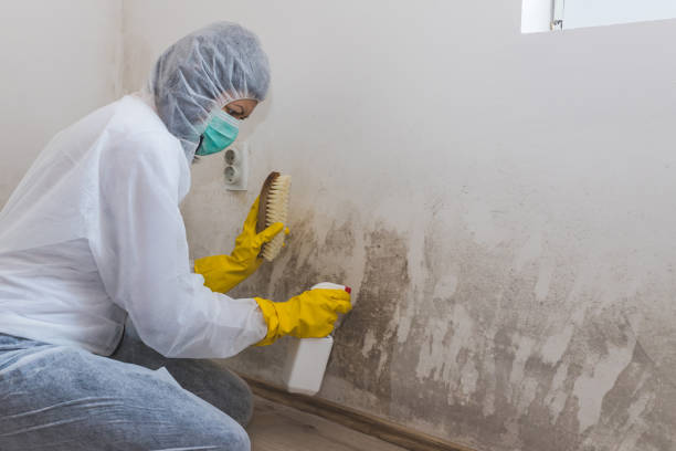 Best Crawl Space Mold Removal  in Simonton Lake, IN