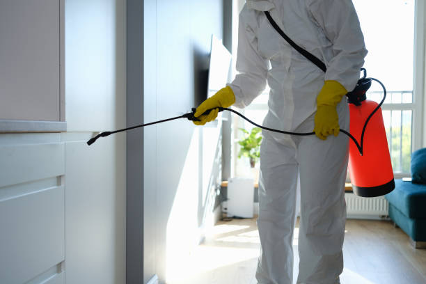 Professional Mold Removal in Simonton Lake, IN