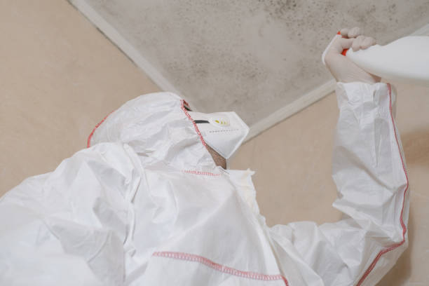 Best Fast Mold Removal  in Simonton Lake, IN