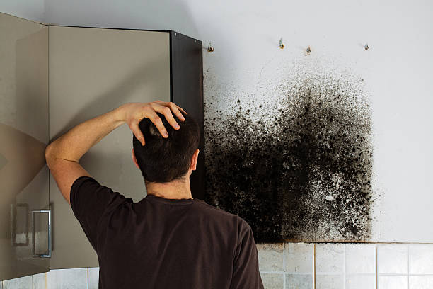 Best Residential Mold Removal  in Simonton Lake, IN