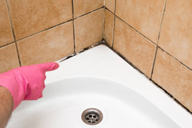 Best Mold Remediation  in Simonton Lake, IN